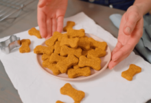 How to Make CBD Dog Treats at Home