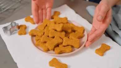 How to Make CBD Dog Treats at Home