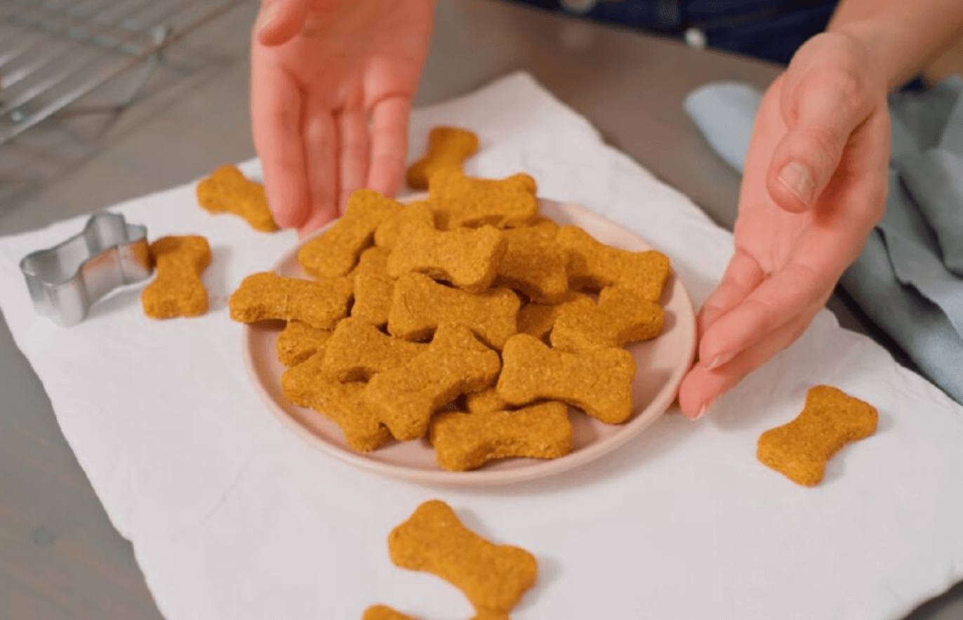 How to Make CBD Dog Treats at Home