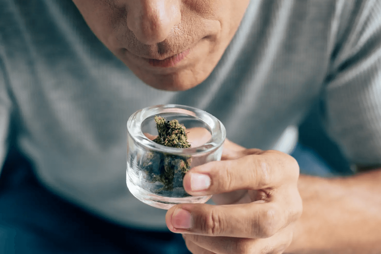 Does Cbd Smell Like Thc Weed When Smoking