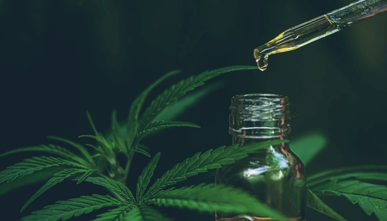 What Is Cbd Massage