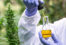 How Long Cbd Oil Stay in Body