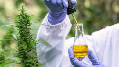 How Long Cbd Oil Stay in Body