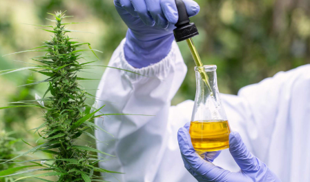 How Long Cbd Oil Stay in Body
