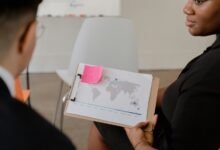 business development analysis summary