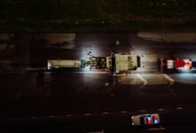 business development metrics analysis