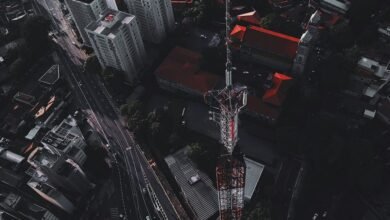 business development opportunities identified