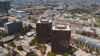 business growth opportunity signals