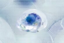 market intelligence data analysis