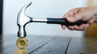 market signals analysis report